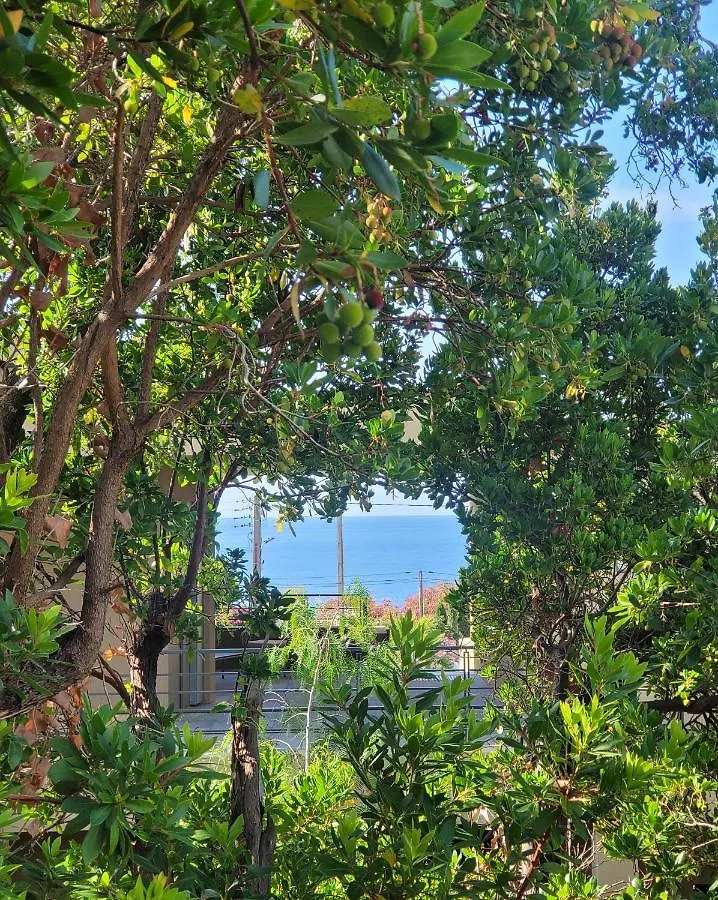 Villa Piscine,Jacuzzi,Rooftop,Plage Village A Pied Les Issambres 0*,  Francie